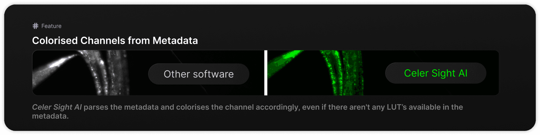 colorized channel card