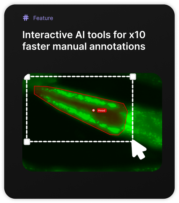 interactive ai tools